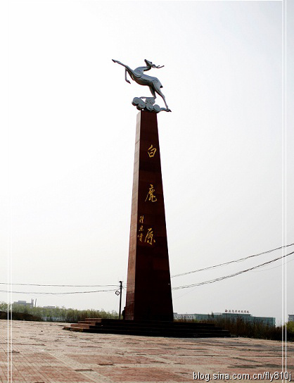 百翔推荐-西安万亩樱桃园-西安地区最大的樱桃园基地